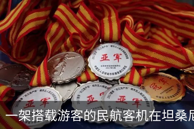 一架搭载游客的民航客机在坦桑尼亚塞罗内拉机场起飞时，撞死一头闯入跑道区域的野生斑马，飞机利用机腹紧急迫降，机上30人全部幸免于难