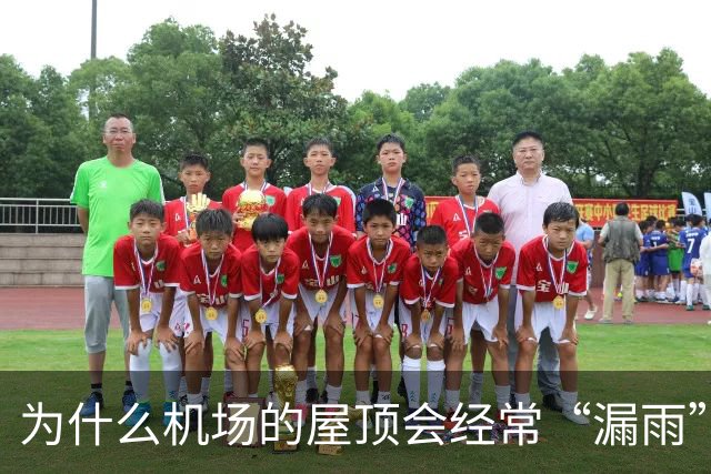 为什么机场的屋顶会经常“漏雨”？用“苔藓”来接漏水也不过是“缓解下旅客心情”而已！