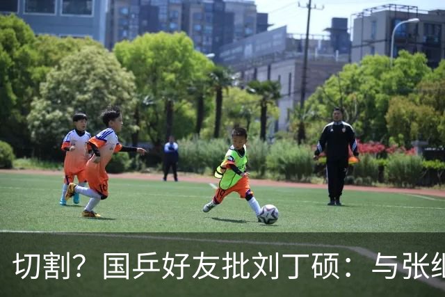 切割？国乒好友批刘丁硕：与张继科互怼不健康 拿国乒蹭流量很不好
