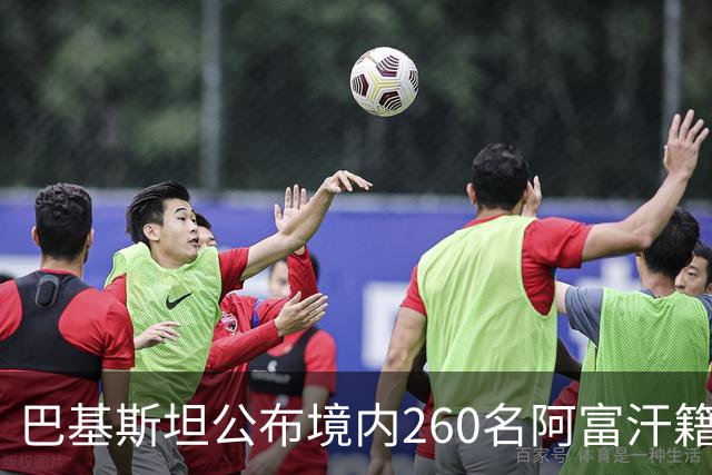 巴基斯坦公布境内260名阿富汗籍被击毙武装人员身份：阿富汗塔利班的庇护争议与巴阿安全博弈