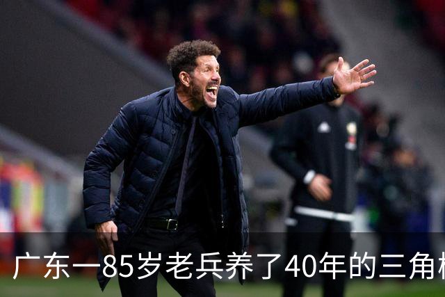广东一85岁老兵养了40年的三角梅“火了”，开成“浪漫花屋”，网友：看哭了