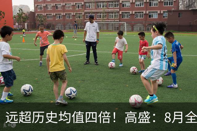 远超历史均值四倍！高盛：8月全球央行购金79吨，中国为可识别最大买家，储备多元化进入“存管安全”新阶段