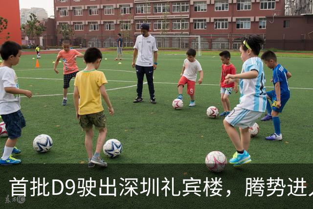 首批D9驶出深圳礼宾楼，腾势进入APEC服务时间
